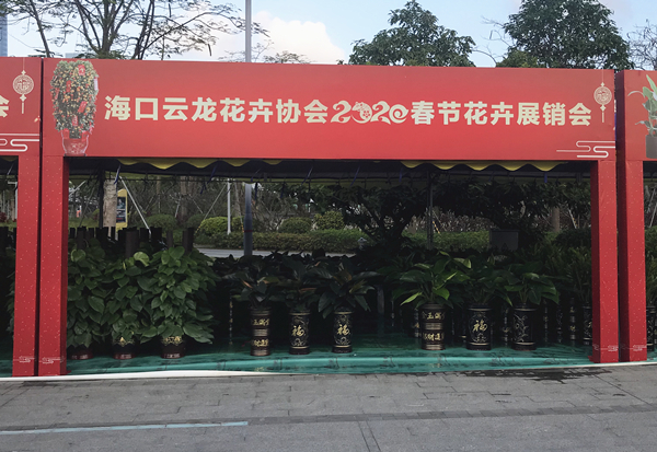 2020春节花卉展销会