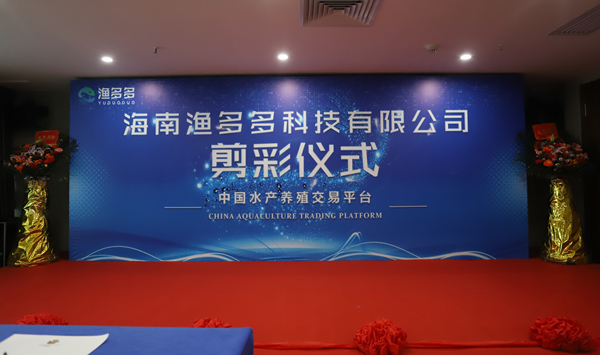 渔多多科技剪彩仪式